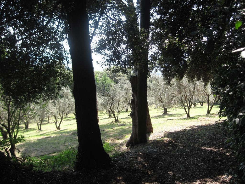Tenuta Olmatello Quartolo Εξωτερικό φωτογραφία