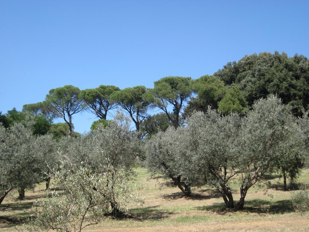 Tenuta Olmatello Quartolo Εξωτερικό φωτογραφία
