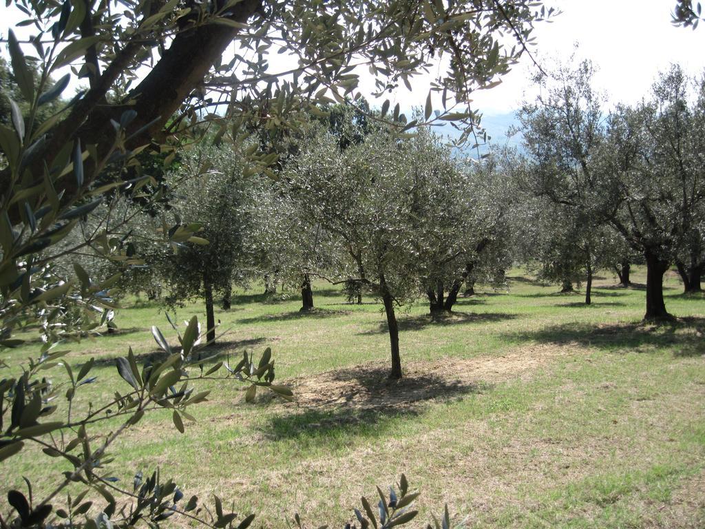 Tenuta Olmatello Quartolo Εξωτερικό φωτογραφία
