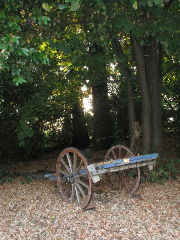 Tenuta Olmatello Quartolo Εξωτερικό φωτογραφία