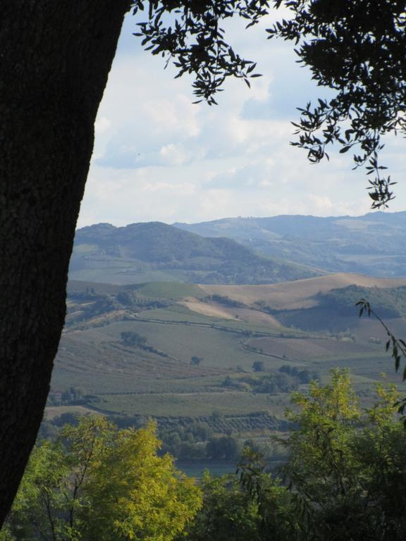 Tenuta Olmatello Quartolo Εξωτερικό φωτογραφία