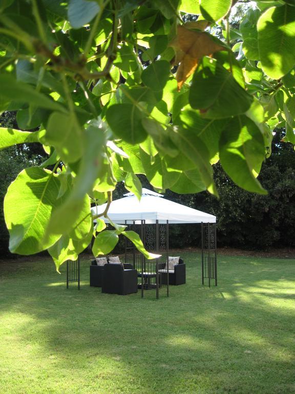 Tenuta Olmatello Quartolo Εξωτερικό φωτογραφία